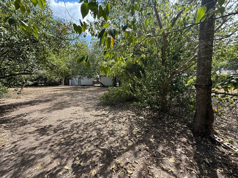 Backyard 2 - 3202 Locke Ln