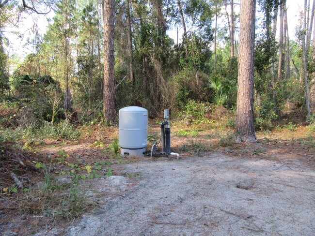Building Photo - Beautiful home in Silver Springs