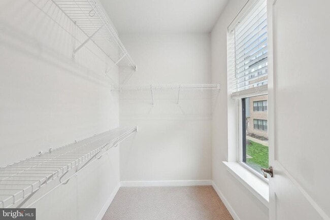 Building Photo - 44603 Wolfhound Sq