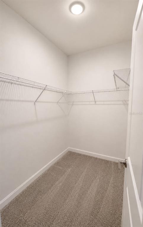 Building Photo - 4744 Waltham Forest Dr