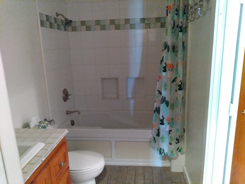 Jacuzzi Bathtub and Shower - 250 The Vlg