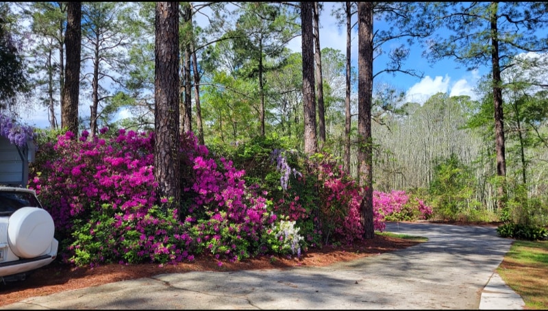 Building Photo - 225 Circle Dr