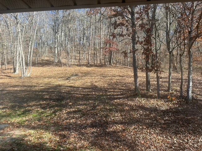 Building Photo - 5120 Candies Creek Ridge Rd