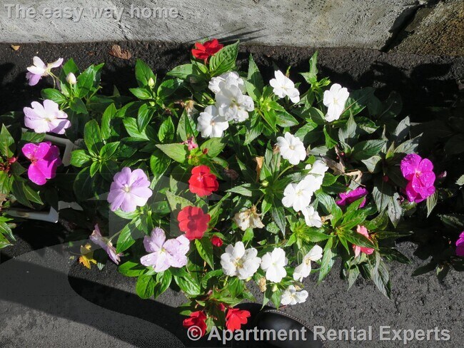 Building Photo - 21 Franklin St