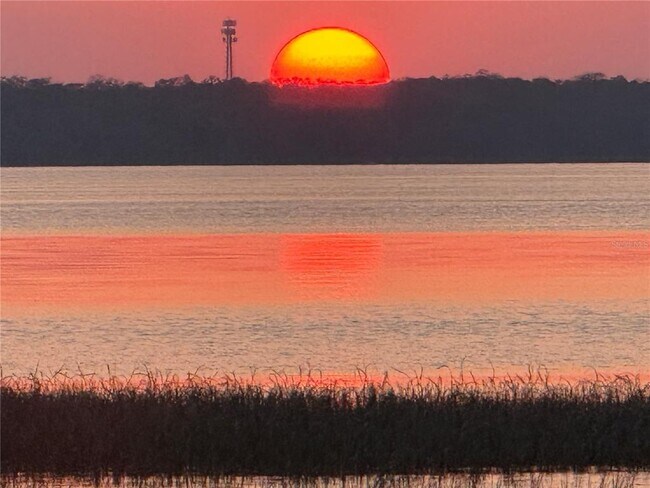 Building Photo - 2225 Cypress Ct