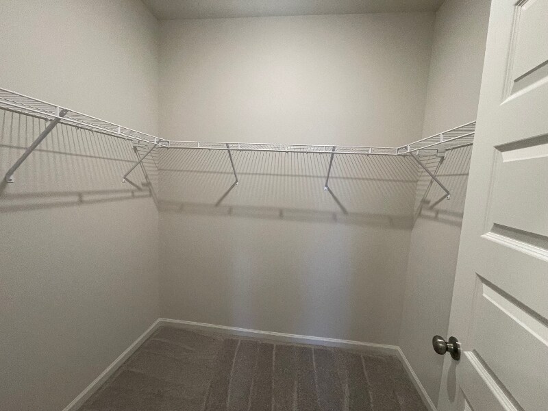 Building Photo - 1720 Manuka Ln