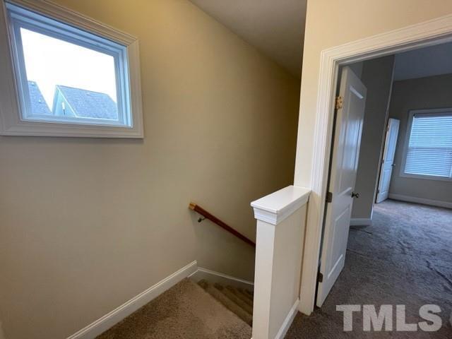 Building Photo - 413 Evening Star Dr