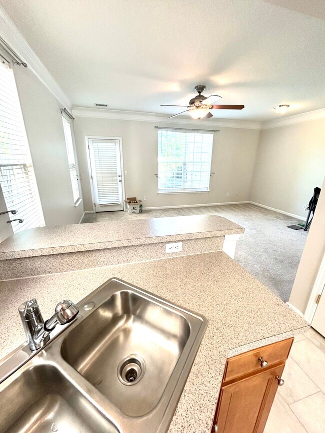 Building Photo - 513 Fagin Cir