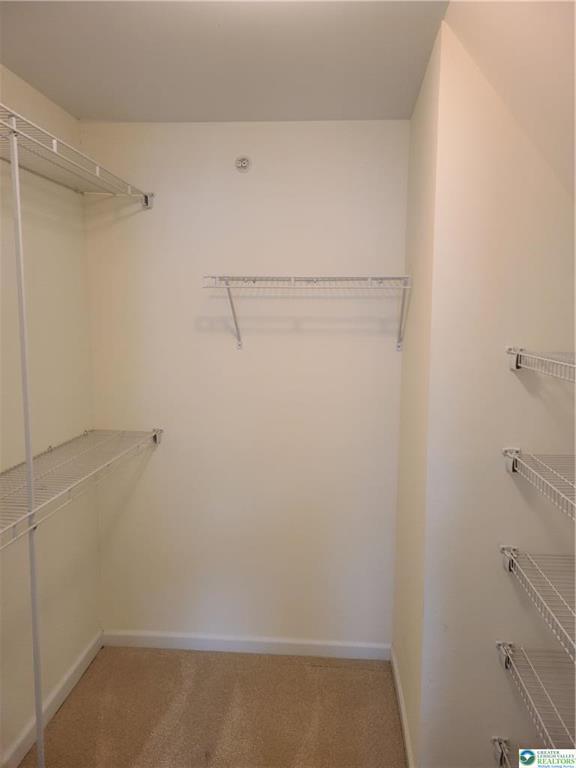 Building Photo - 1600 Oakridge Ln