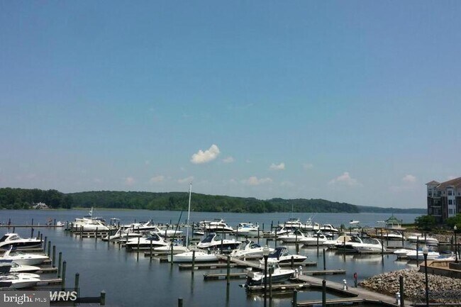 Building Photo - 724 Vestal St