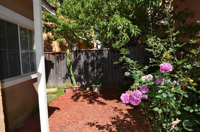 Building Photo - Newer Single Family Home in gated Union City