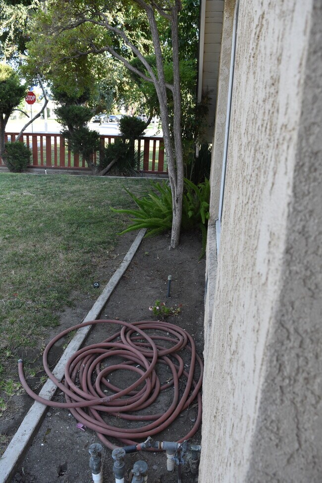 Front Lawn - 423 S Indiana St