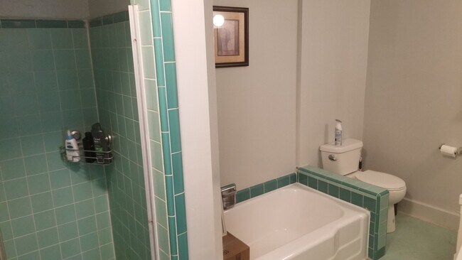 Bathroom - 500 Midvale Ave