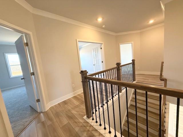 Building Photo - 114 Brandle Rose Wy