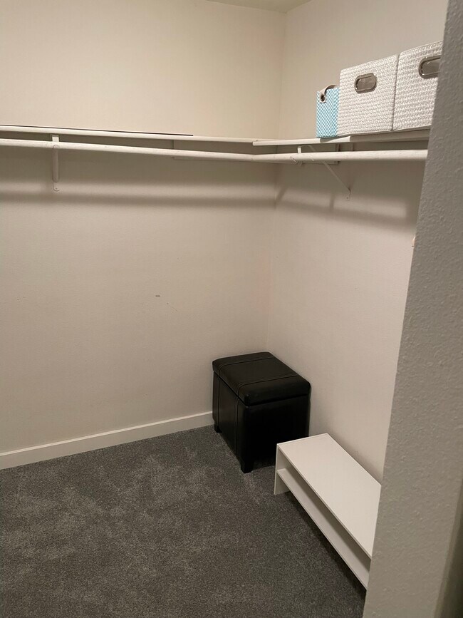 Master walk-in closet - 12303 Harbour Pointe Blvd