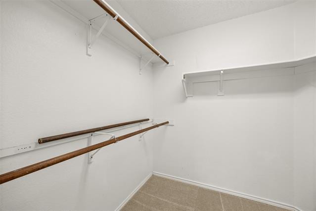 Building Photo - 2521 Creek Crossing Rd