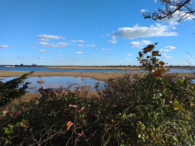 Nearby Allen's Pond conservation land. - 94 Cross Rd
