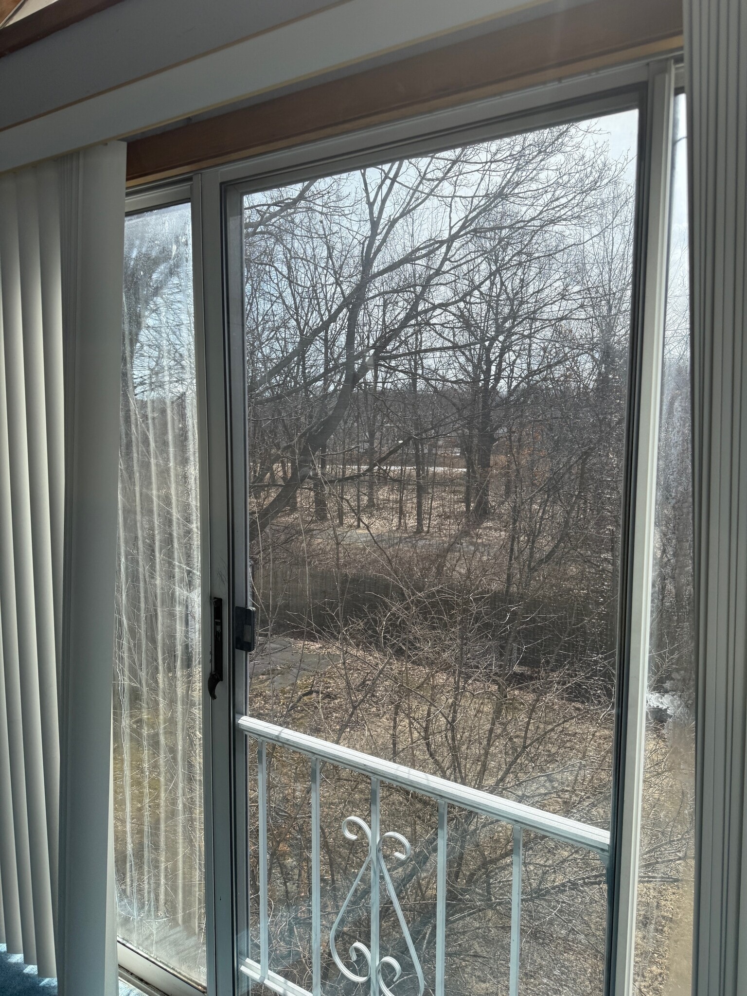 View of Backyard - 87 Auburn St