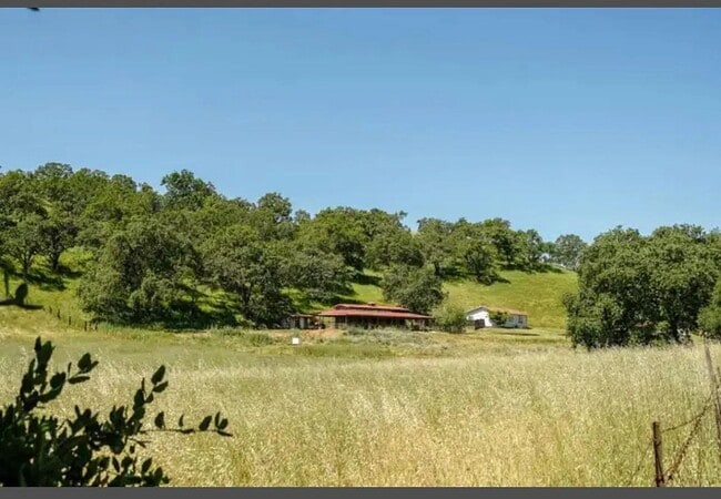 Building Photo - Gorgeous Ranch House on 5 Acres of Land in the Gilroy Hills