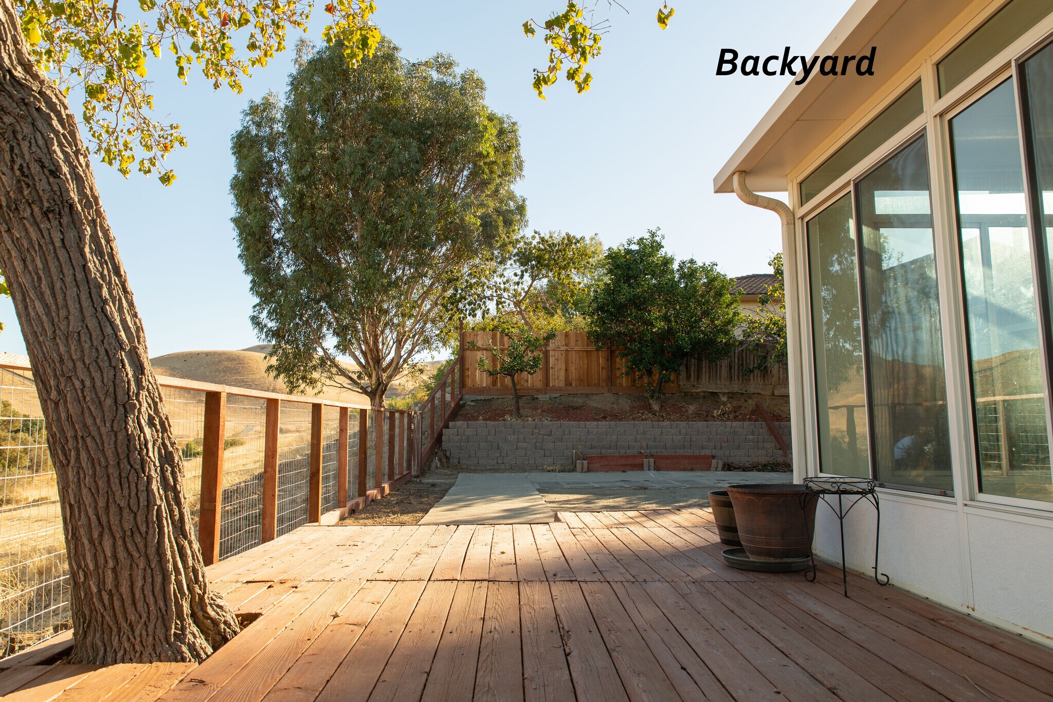 Backyard facing south - 2229 San Remo Way