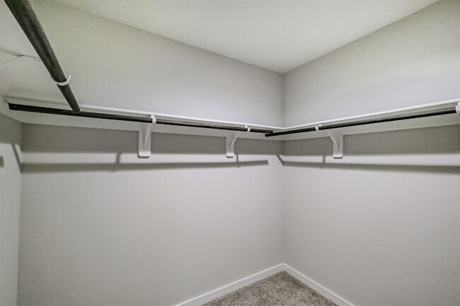 Building Photo - 12534 Newport Arch Ln