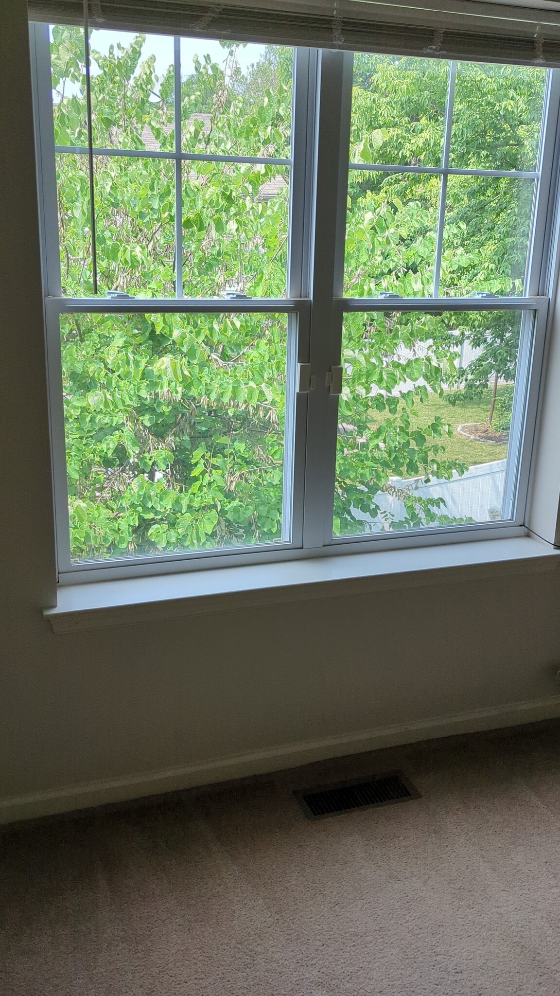 Upstairs bedroom #2 (view of sideyard tree) - 631 N 44th St