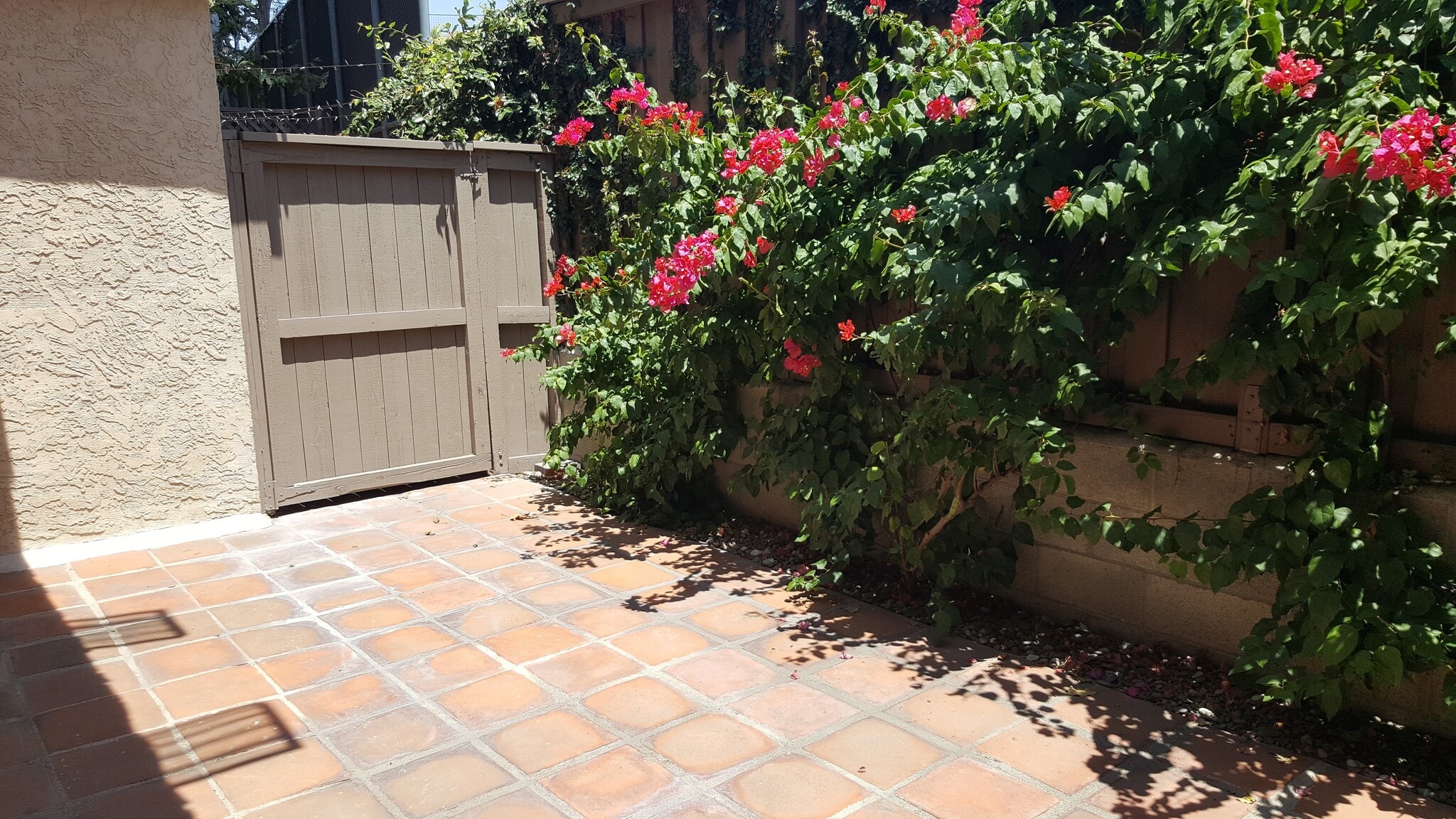 Back Patio (off Kitchen) - 638 Wilcox Ave