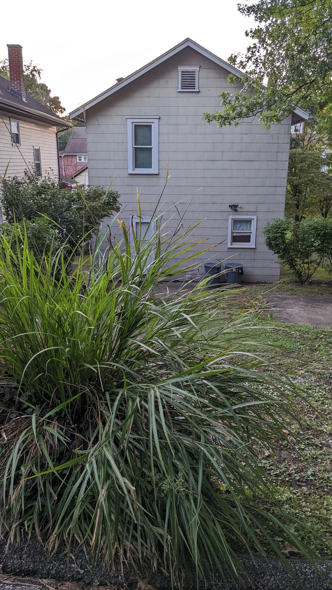 Backyard/off street parking - 808 Hunt Ave