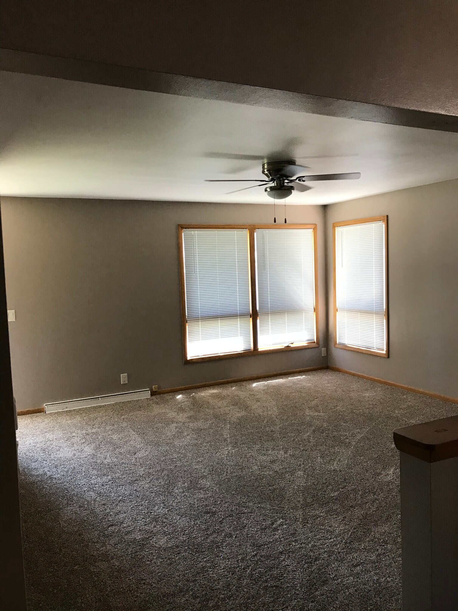 Building Photo - 1117 S 7th St