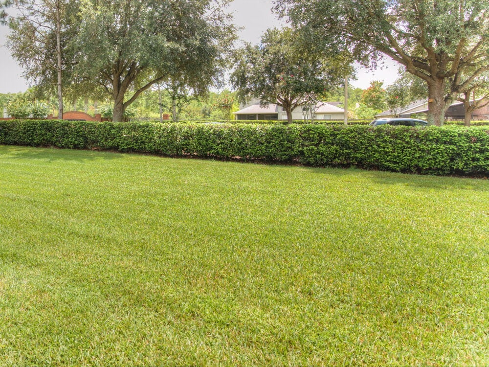 Building Photo - 671 Hardwood Cir