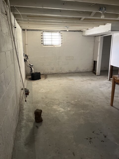 Basement - 633 S Terrace Ave