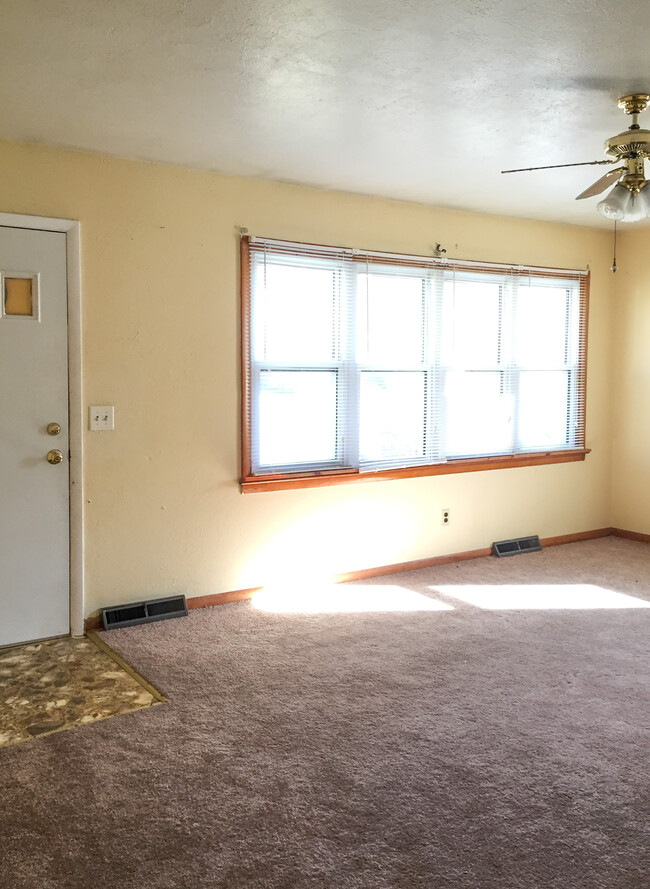 Great natural light in living room - 118 DORCAS AVE