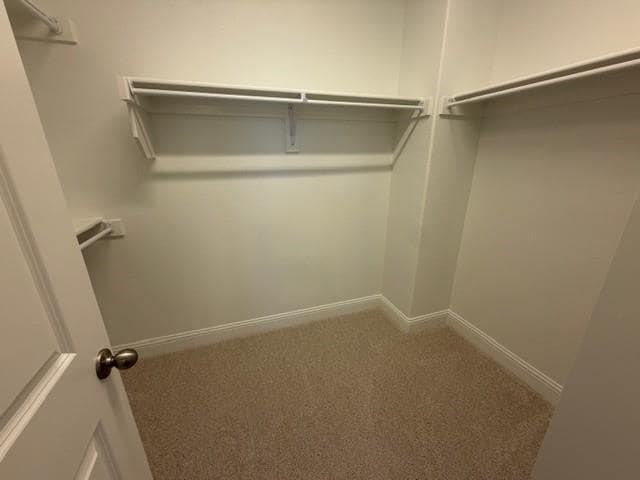 Building Photo - 3545 Treasure Dr