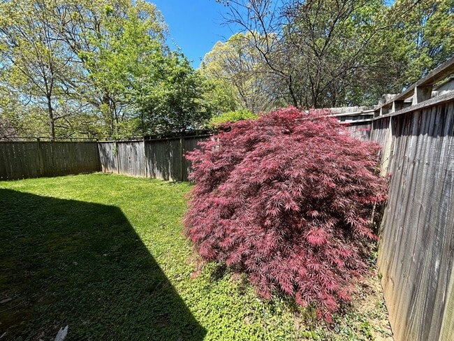 Building Photo - East Asheville - Contemporary Bungalow