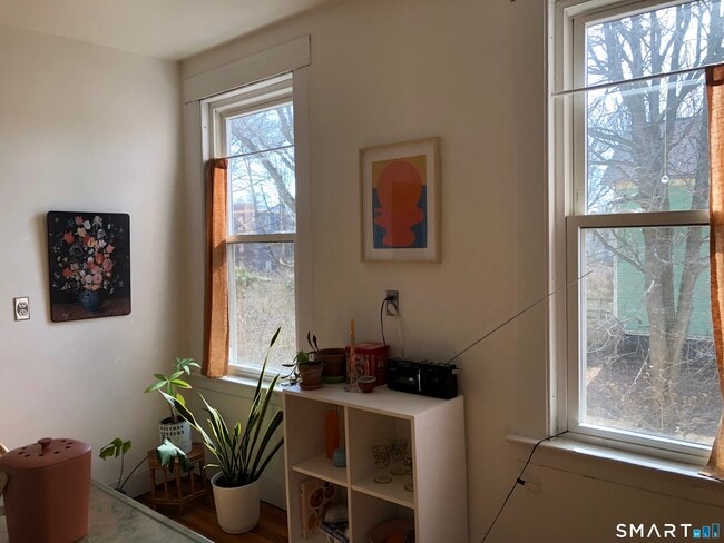 Building Photo - 52 Canner St