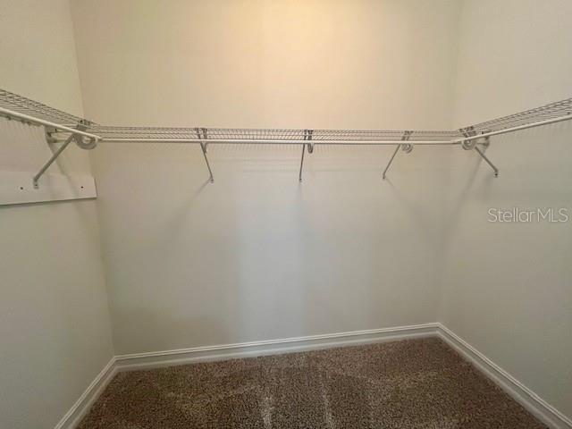 Building Photo - 762 Celebration Ave