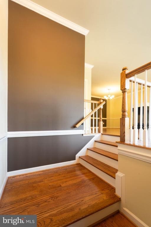 Building Photo - 14564 Riverwind Terrace