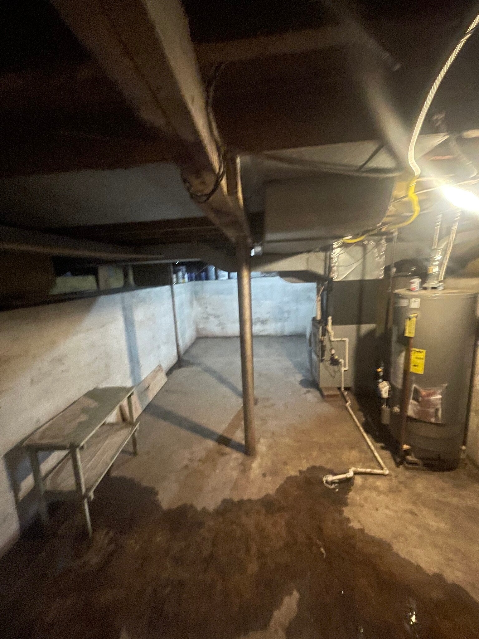 Building Photo - 1608 Marion Ave