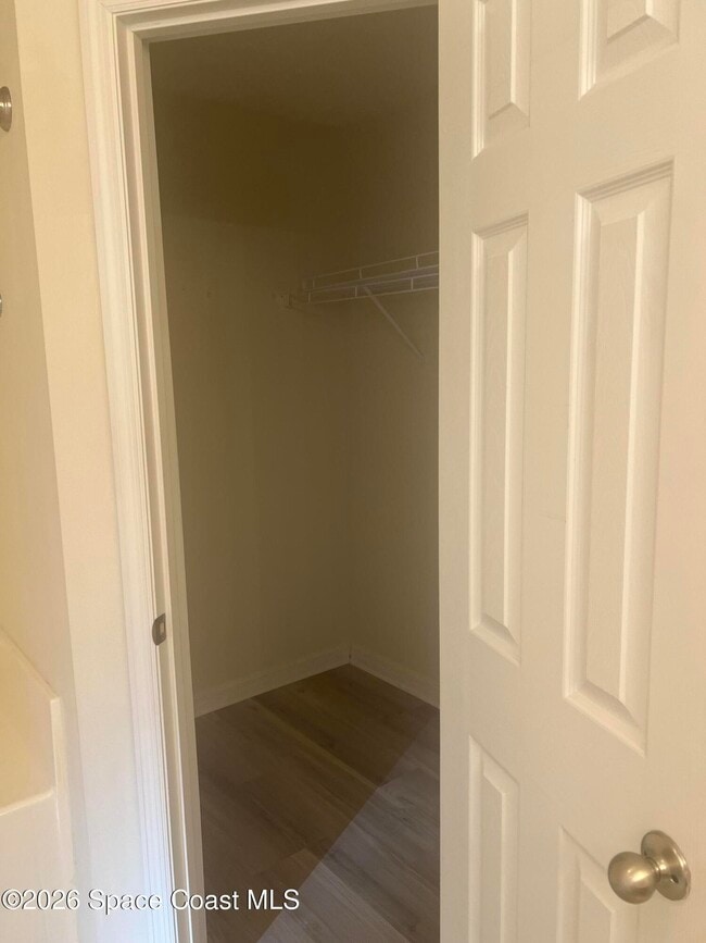 Building Photo - 241 Paquita Cir