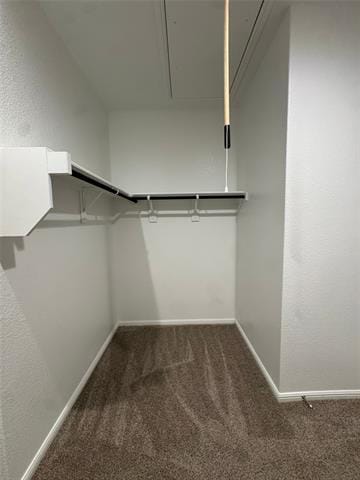 Building Photo - 912 Rothville Ln