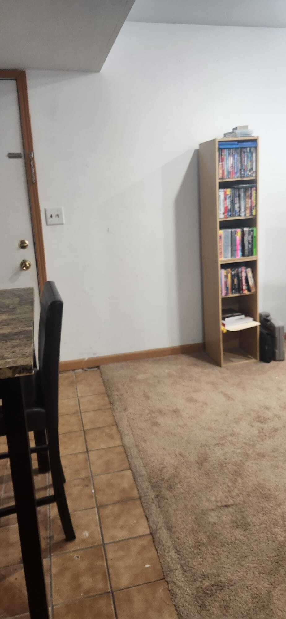View#5 of downstairs livingroom and door to garage - 2116 Thaler Ave