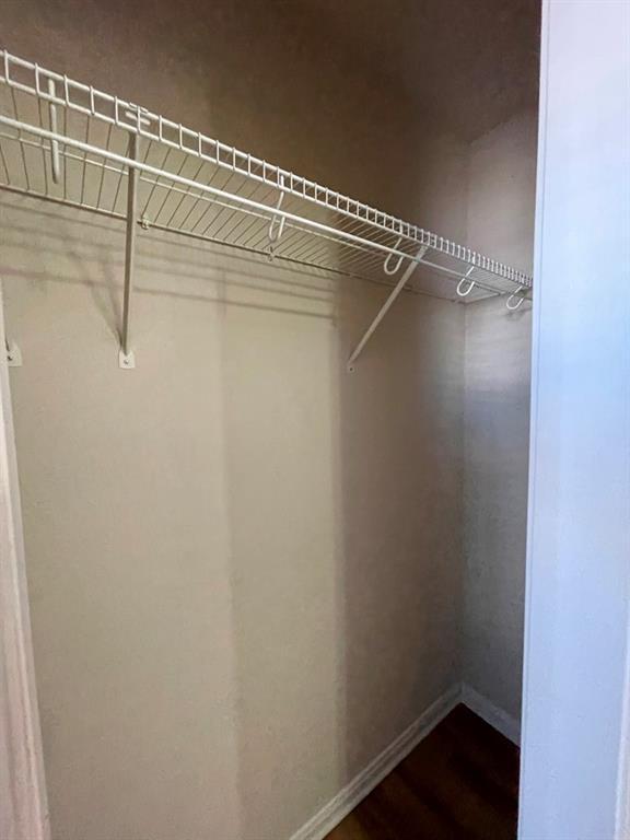 Building Photo - 145 Amber Ash Dr