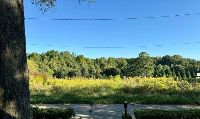 Building Photo - Complete New Central Hvac in this 2 Bed/1 ...