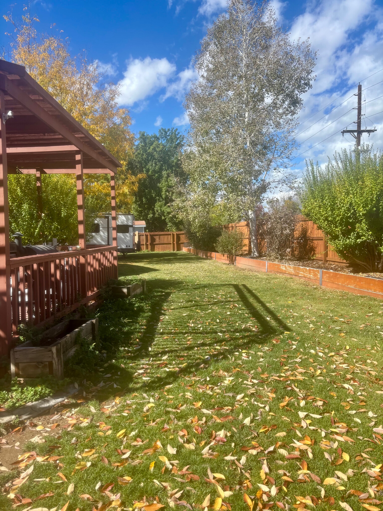 backyard - 2574 Silver Oak Ct