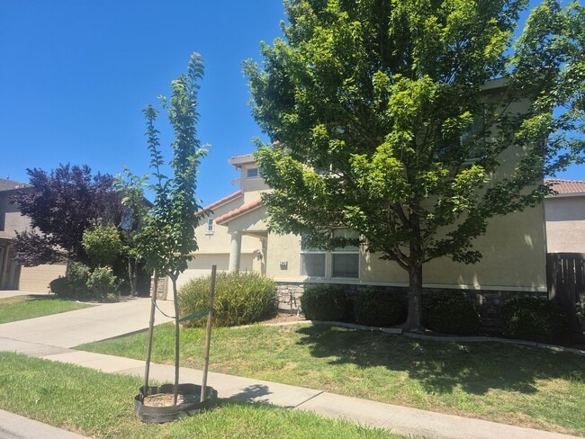 Building Photo - 5343 Dunlay Dr