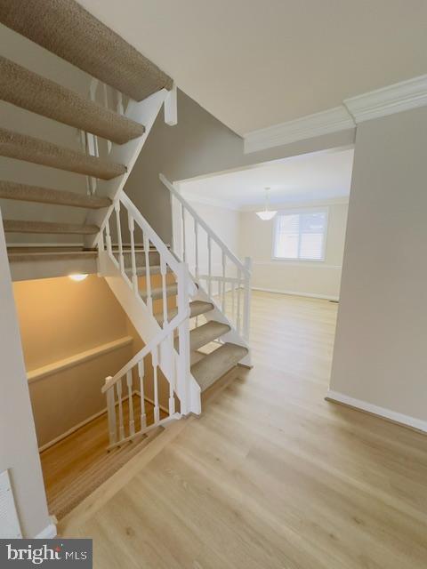Building Photo - 3442 Belfry Ln