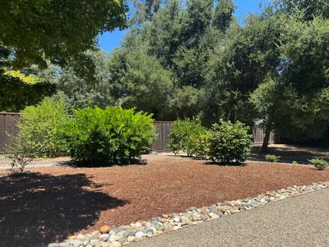 Building Photo - Fabulous single level Lafayette home nestled at the end of a tree-lined drive.