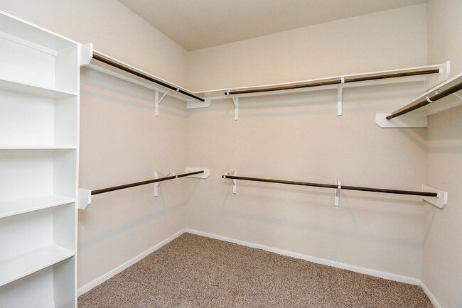 Building Photo - 13906 Manobrook Ct