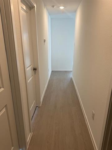 Building Photo - 3121 Burmese St