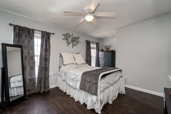 Building Photo - 323 Stewarts Landing Cir